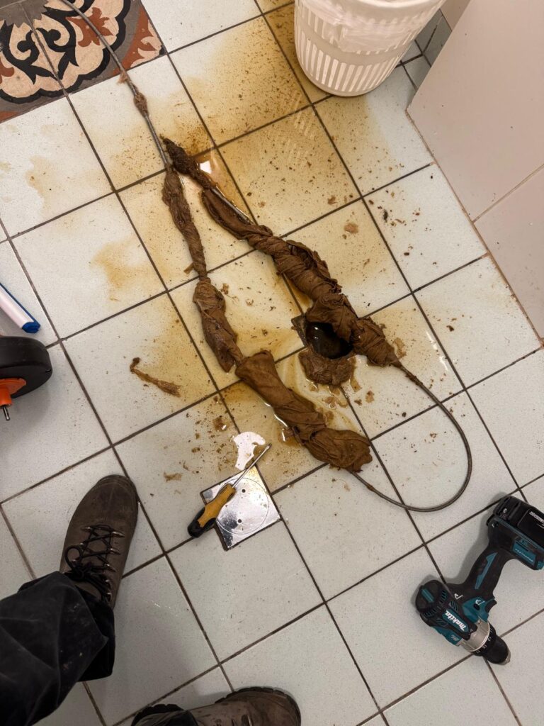 שורשים בירושלים